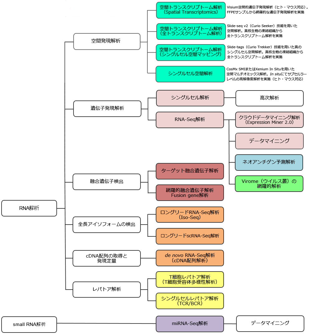 RNA解析関連フローチャート