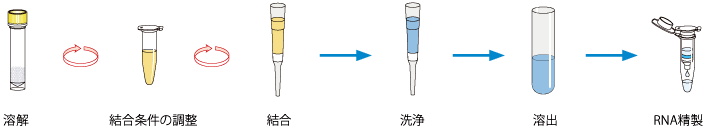 操作手順
