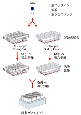 操作手順